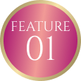 FEATURE01